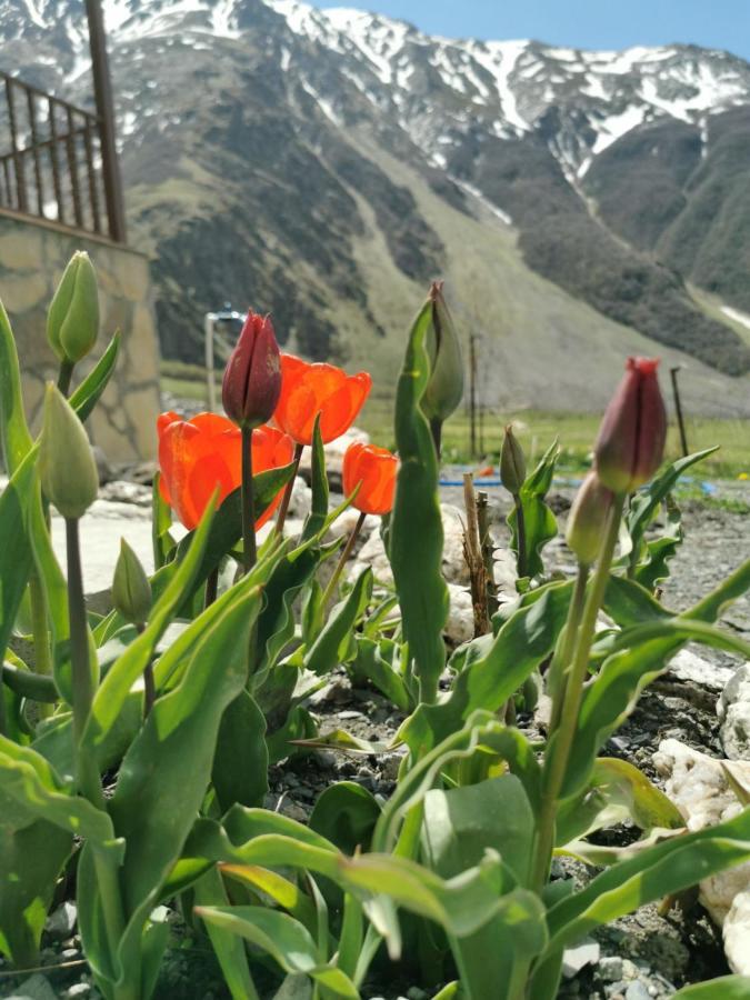 Hotel Diamond Kazbegi Stepantsminda Exterior foto